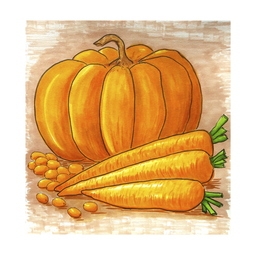 orange vegetables and white fields