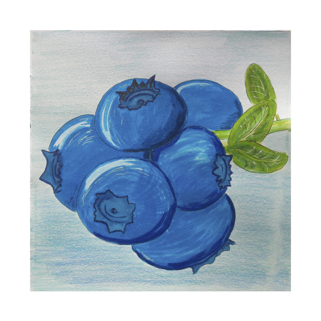 blueberry print