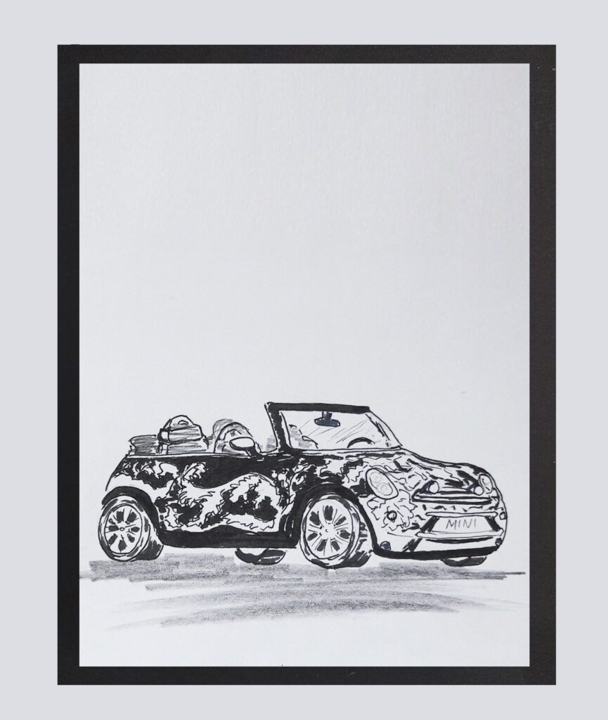 car 6