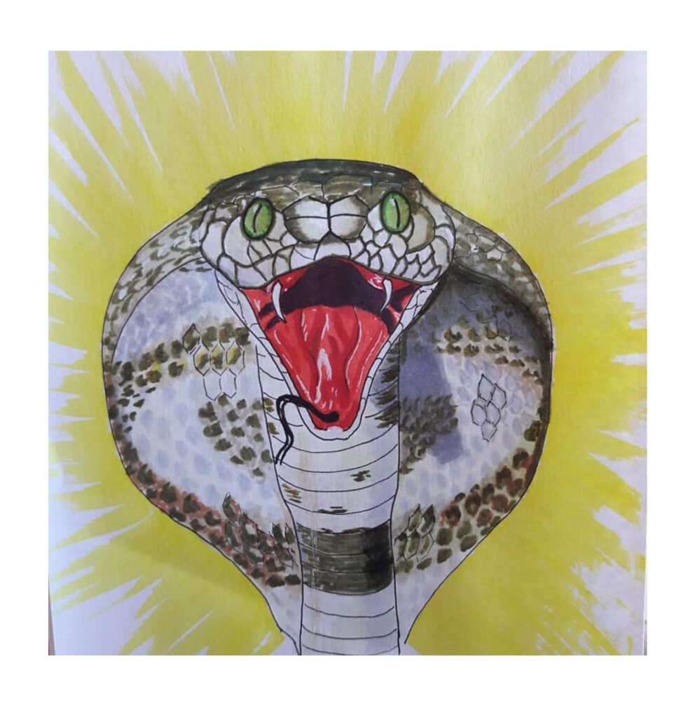 drawning animal 2 snake
